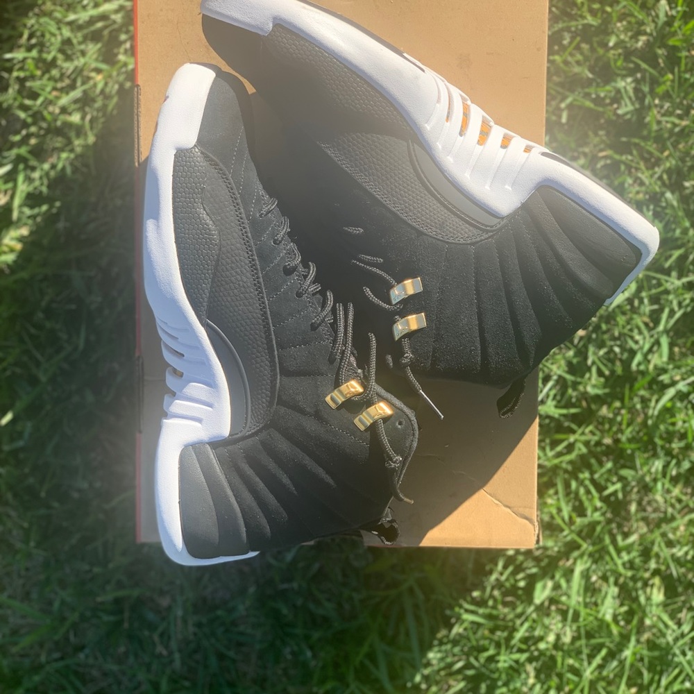 Jordan retro 12